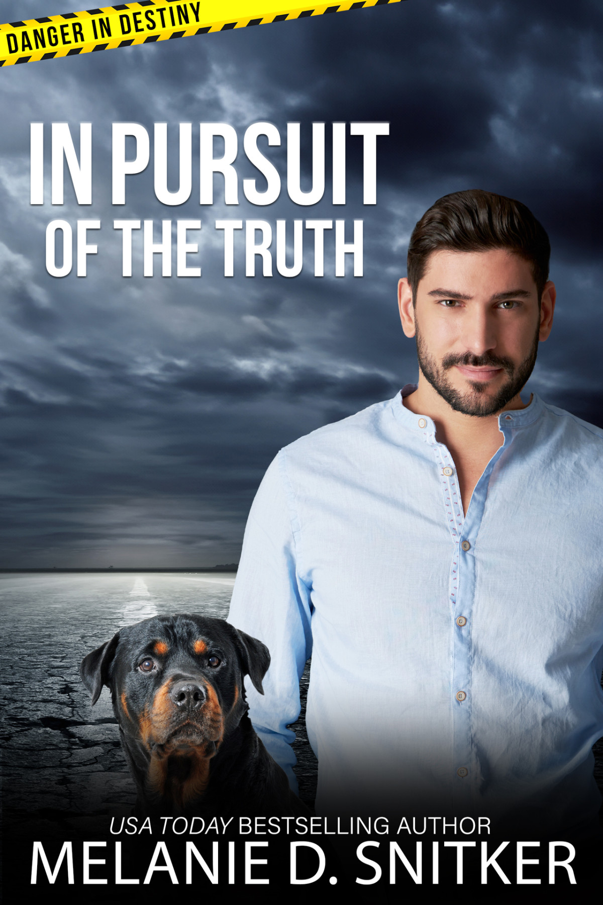 In Pursuit Of The Truth Christian Romantic Suspense Danger In Destiny Book 6 Melanie D Snitker