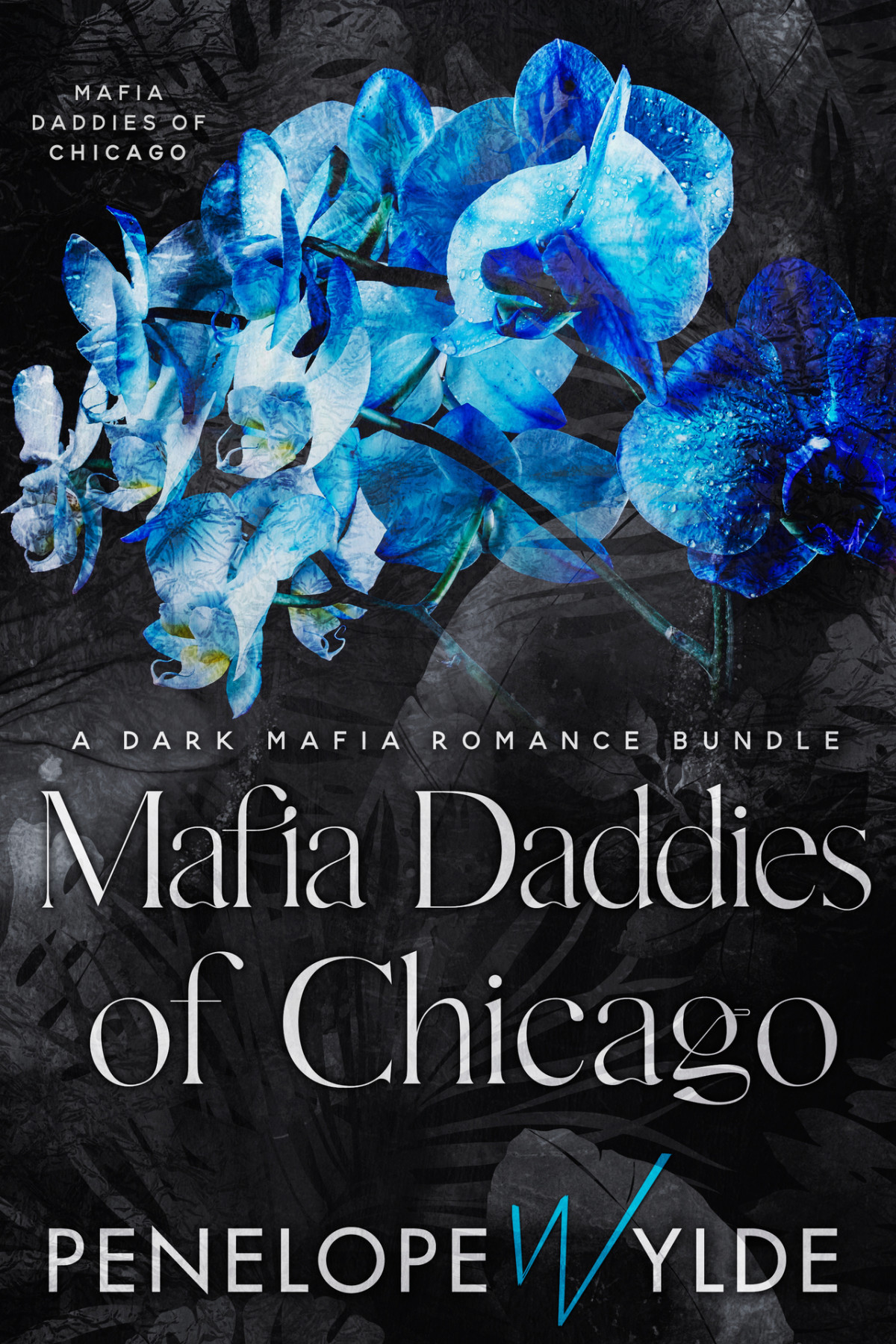 Mafia Daddies Of Chicago An Enemies To Lovers Mafia Romance Boxset Wylde