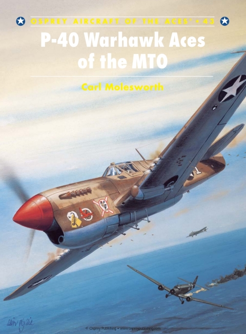 P40 Warhawk Aces Of The Mto 1st Edition Carl Molesworth