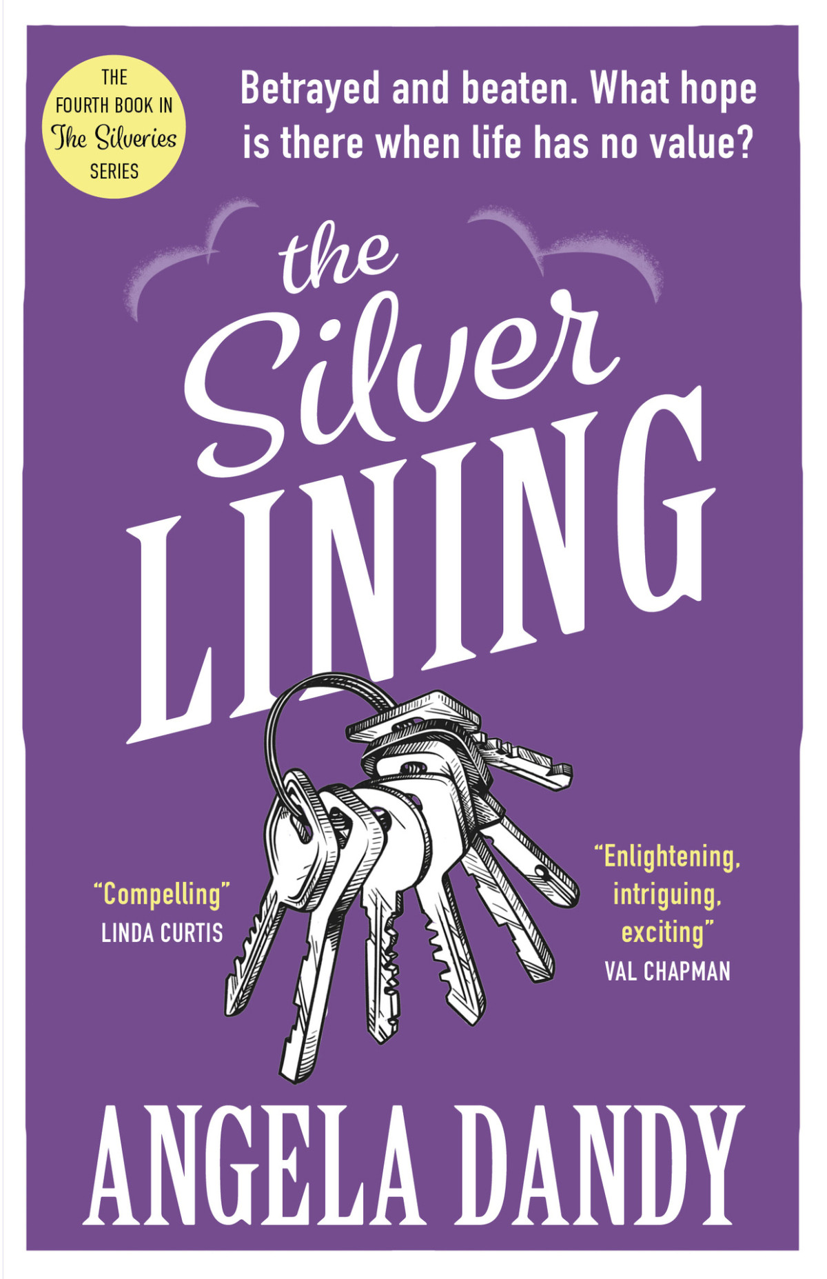The Silver Lining Angela Dandy