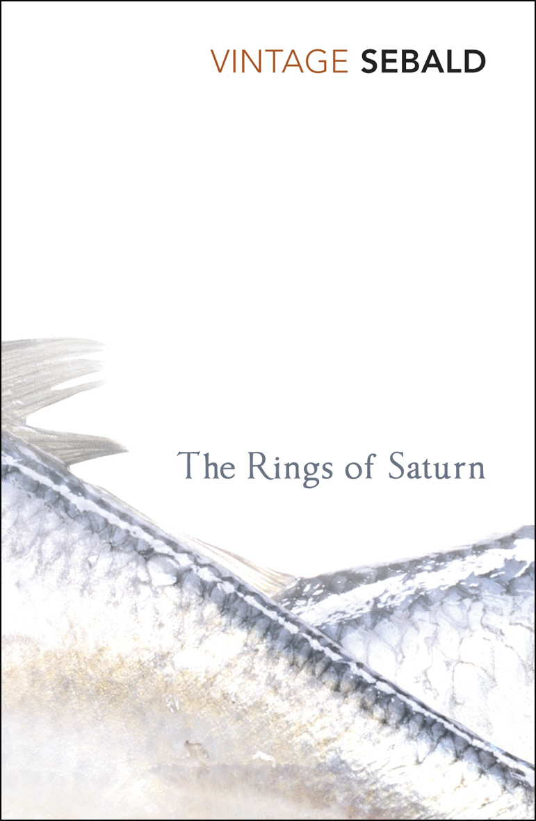 The Rings Of Saturn W G Sebald