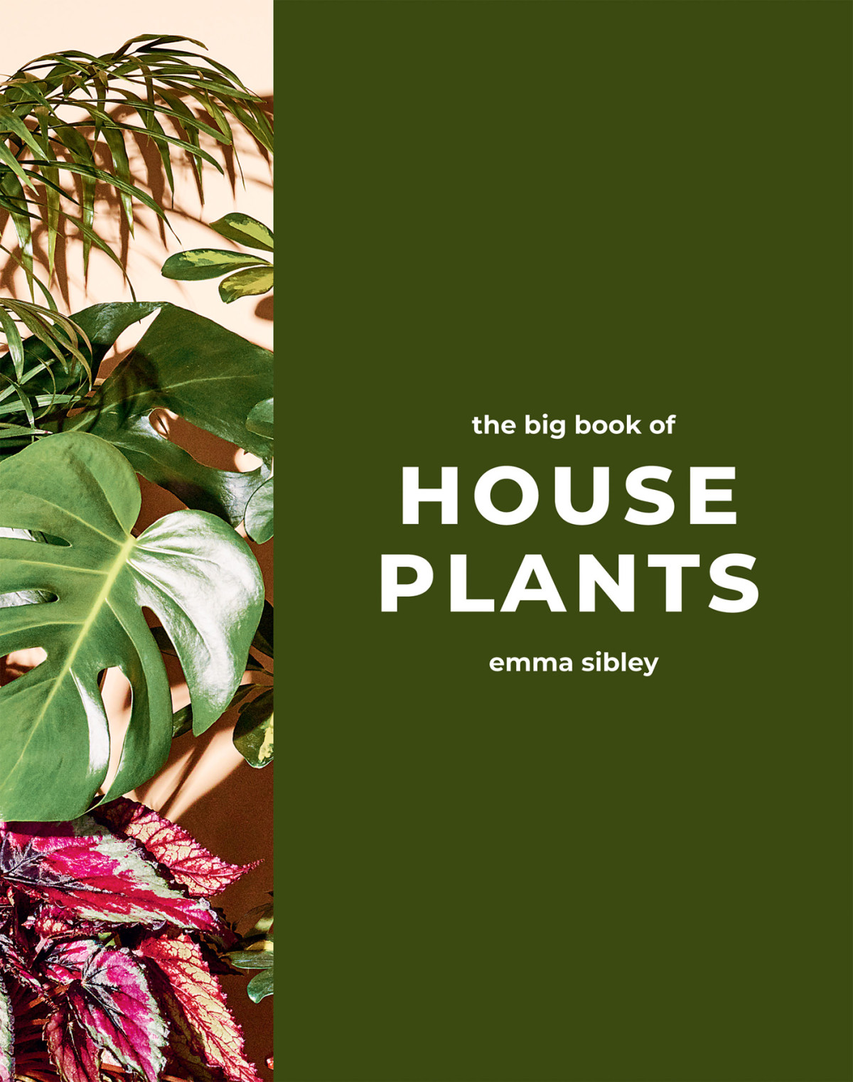 The Big Book Of House Plants Emma Sibley