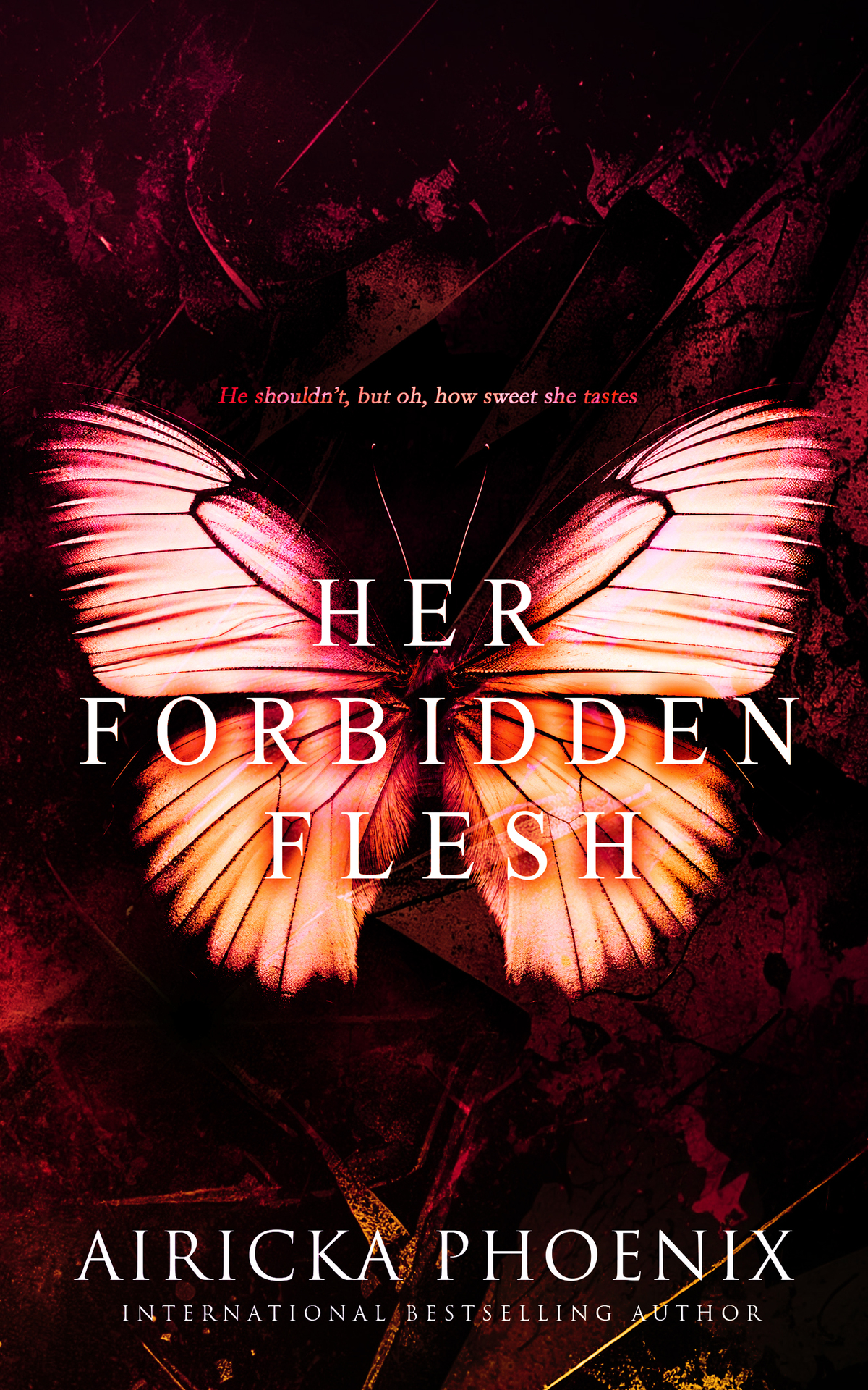 Her Forbidden Flesh Dark Forbidden Romance Airicka Phoenix