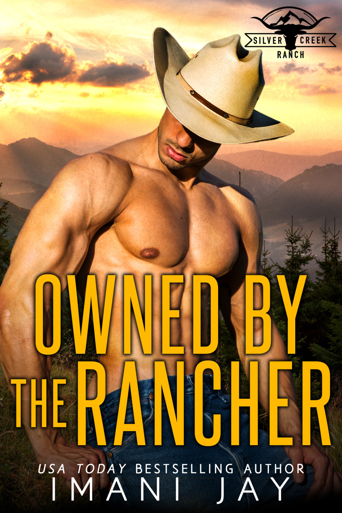Owned By The Rancher Silver Creek Ranch Book 2 Imani Jay