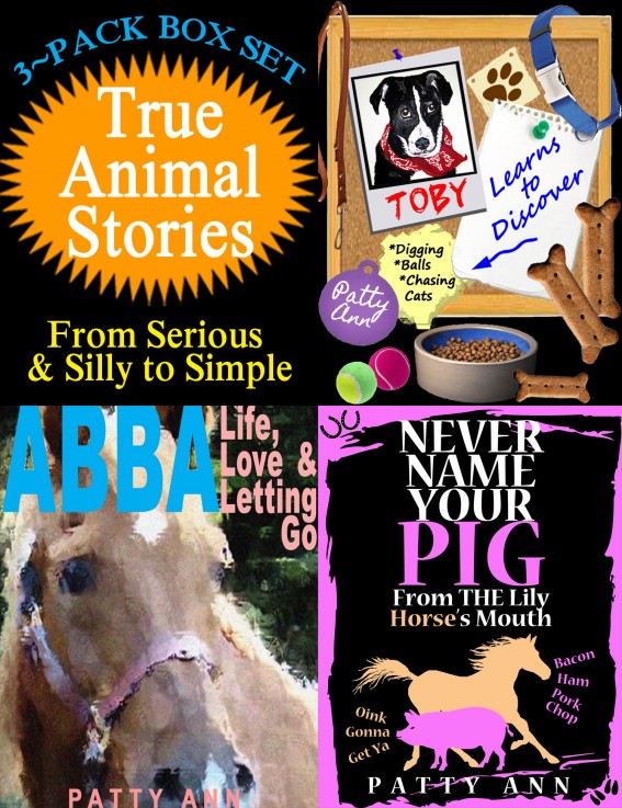 True Animal Stories From Serious Silly To Simple 3 Book Box Set Ann