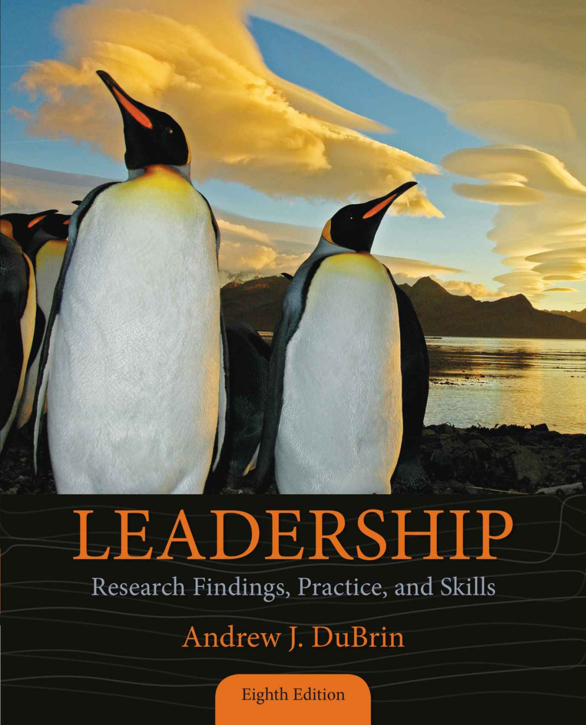 Leadership Research Findings Practice And Skills Andrew J Dubrin