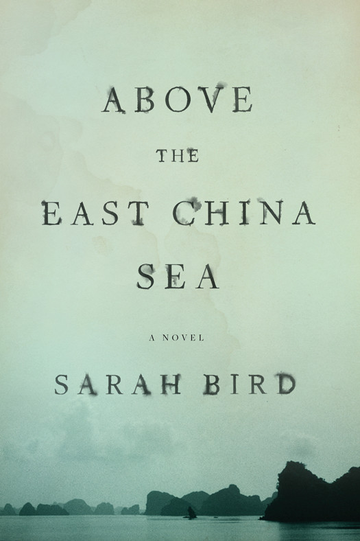 Above The East China Sea Bird Sarah
