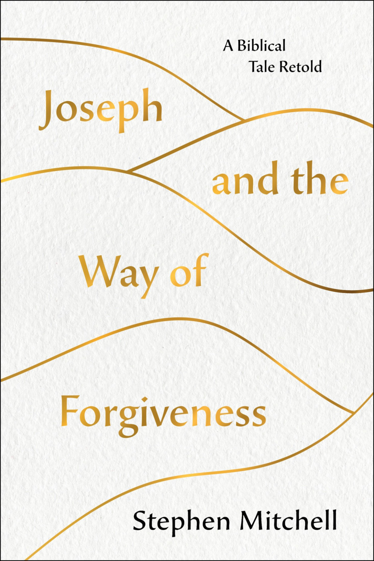 Joseph And The Way Of Forgiveness Mitchell Stephen
