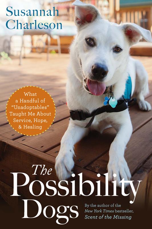 The Possibility Dogs Charleson Susannah