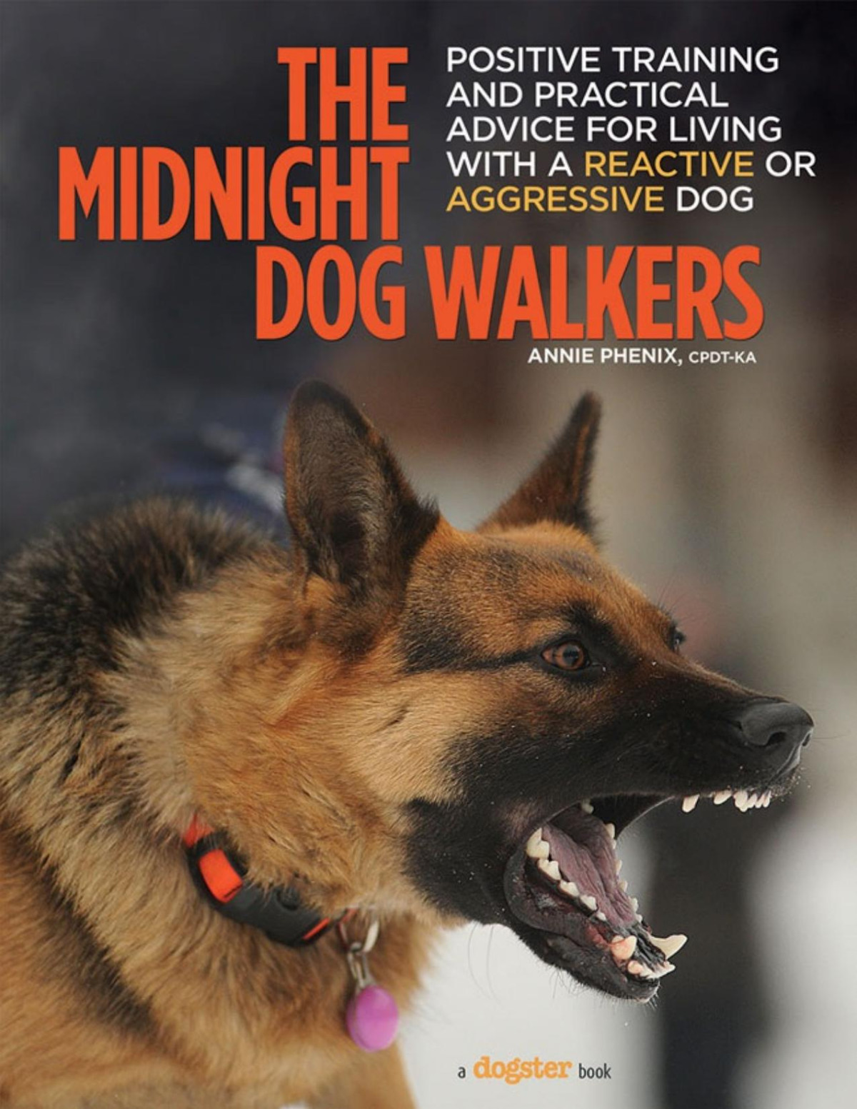 The Midnight Dog Walkers Annie Phenix Cpdtka