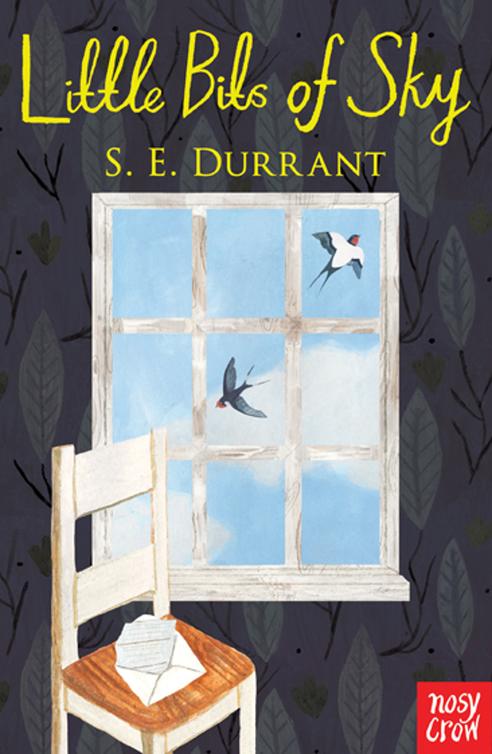 Little Bits Of Sky Durrant Se