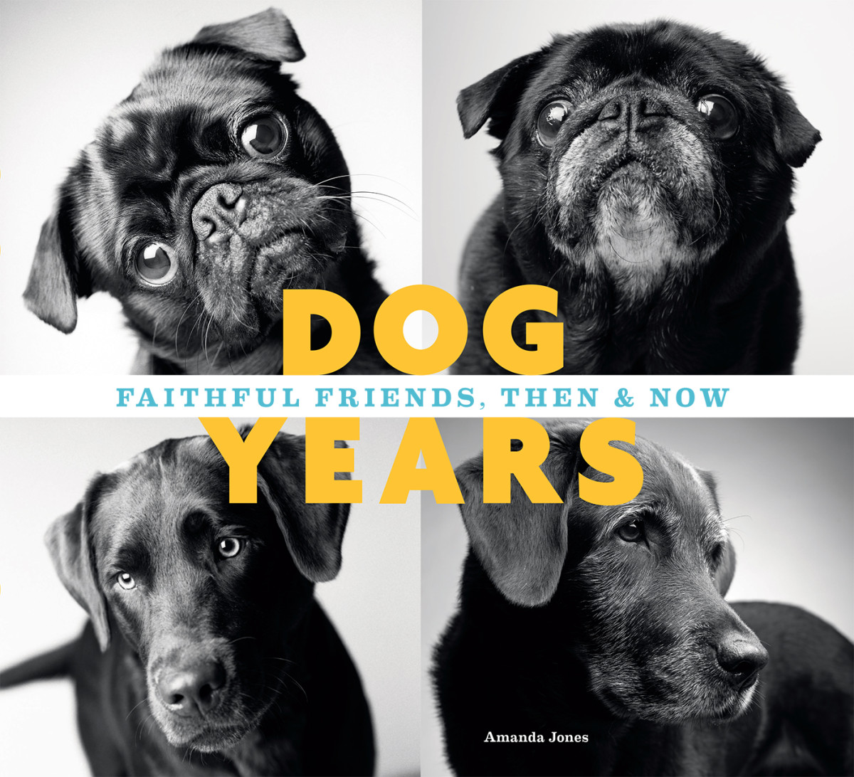 Dog Years Amanda Jones