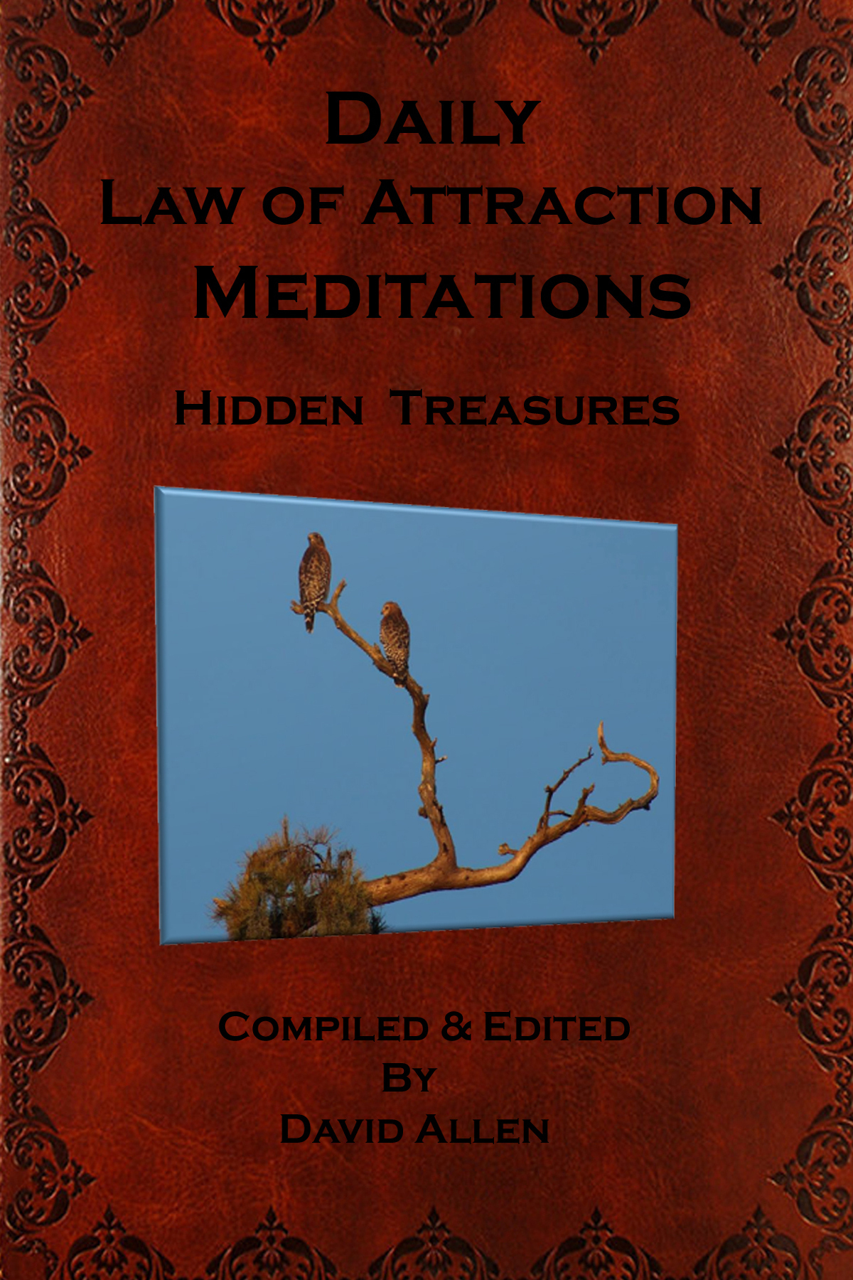 Daily Law Of Attraction Meditations Allen David