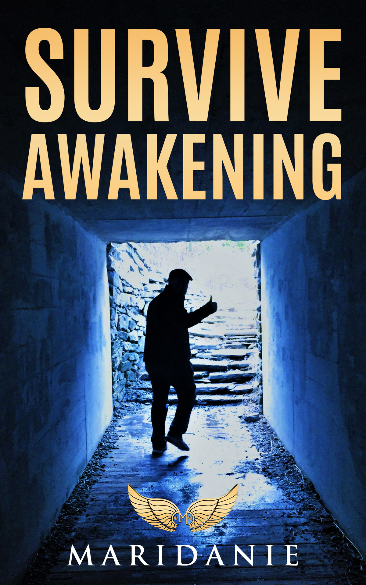 Survive Awakening Spiritual Enlightenment Help Awareness Peace Of Mind Mindfullness Spirituality Awakening Enlightenment Allowing Love Spiritual Book 1 Maridanie