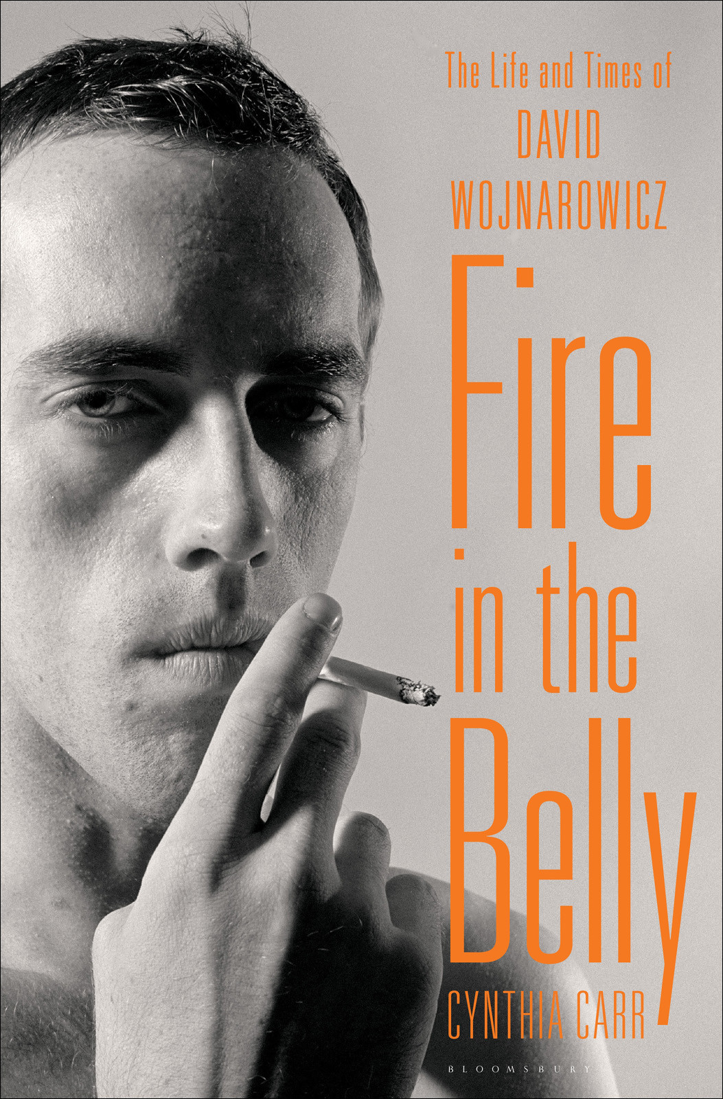 Fire In The Belly The Life And Times Of David Wojnarowicz Cynthia Carr