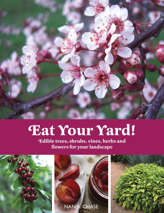 Eat Your Yard Chase Nan