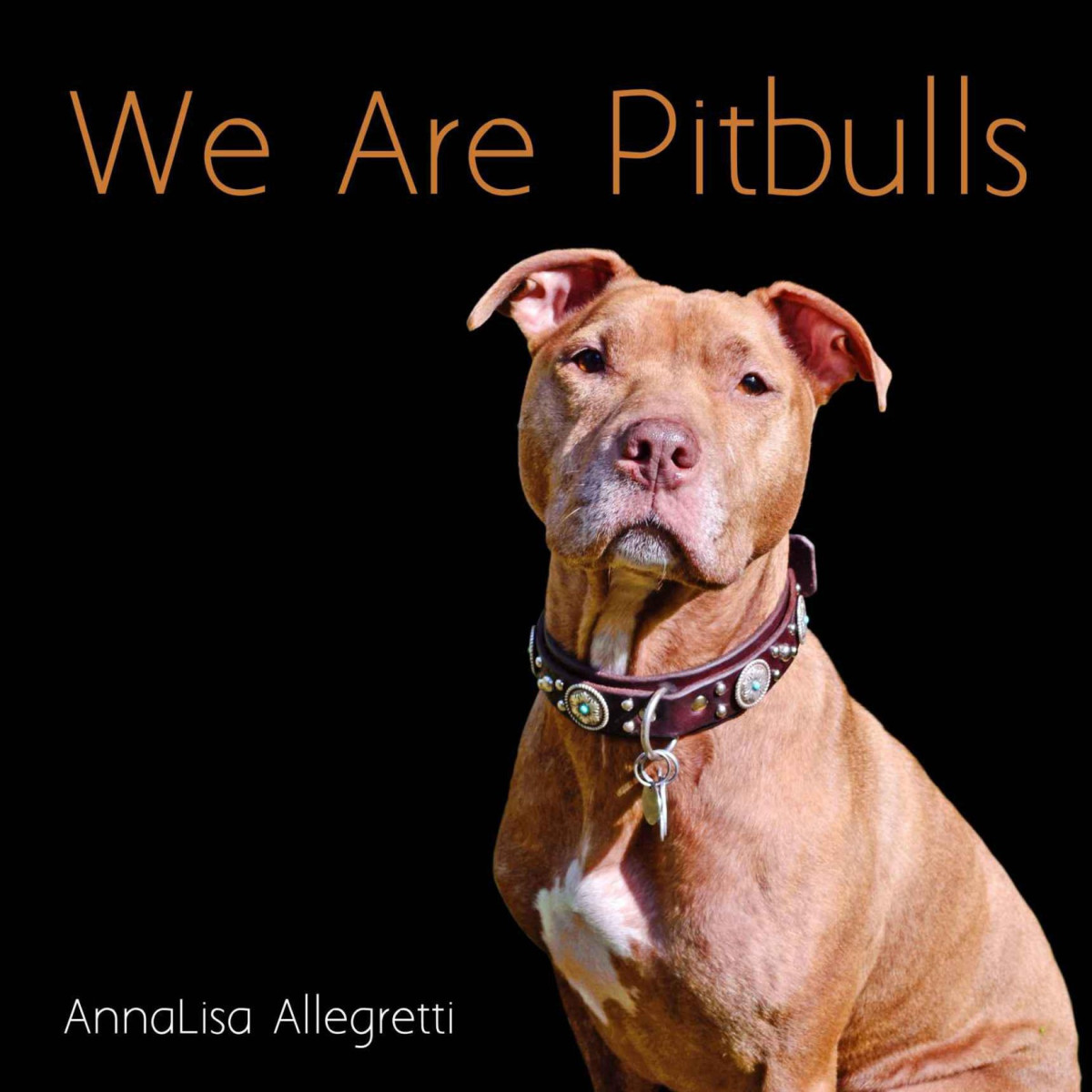 We Are Pitbulls A Collection Of Portraits Of The Dogs We Call Pitbulls And Their Owners Allegretti