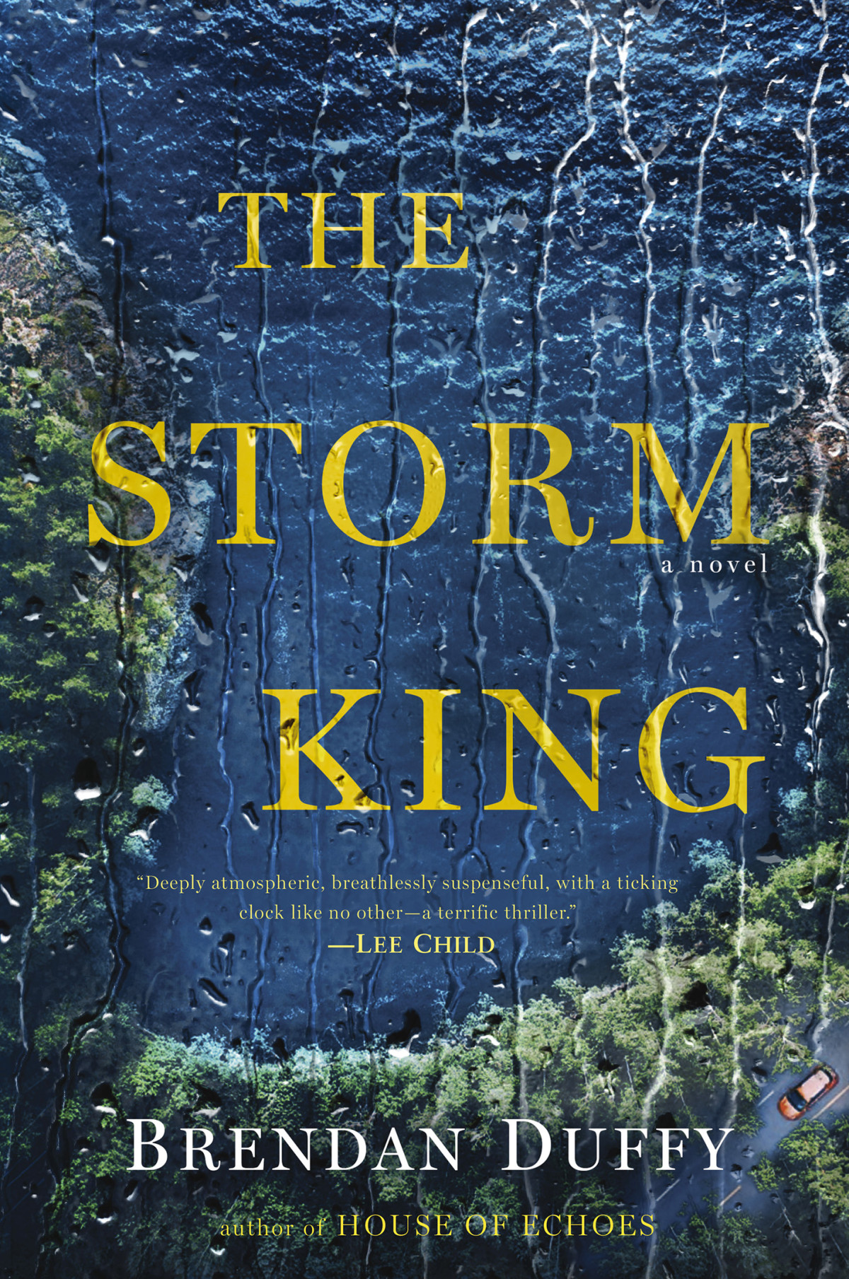 The Storm King Brendan Duffy