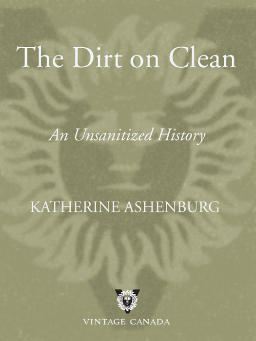 The Dirt On Clean An Unsanitized History Ashenburg Katherine