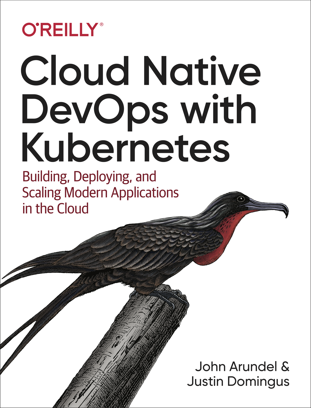 Cloud Native Devops With Kubernetes John Arundel