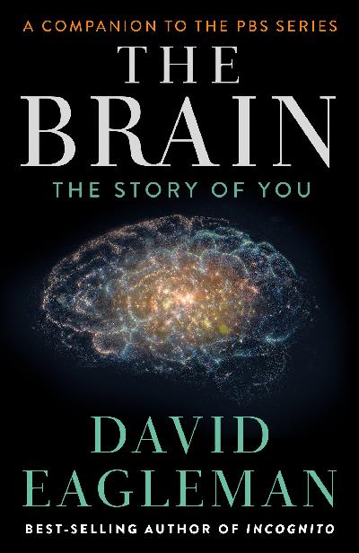 Brain The Story Of You 9781101870549 Eagleman David