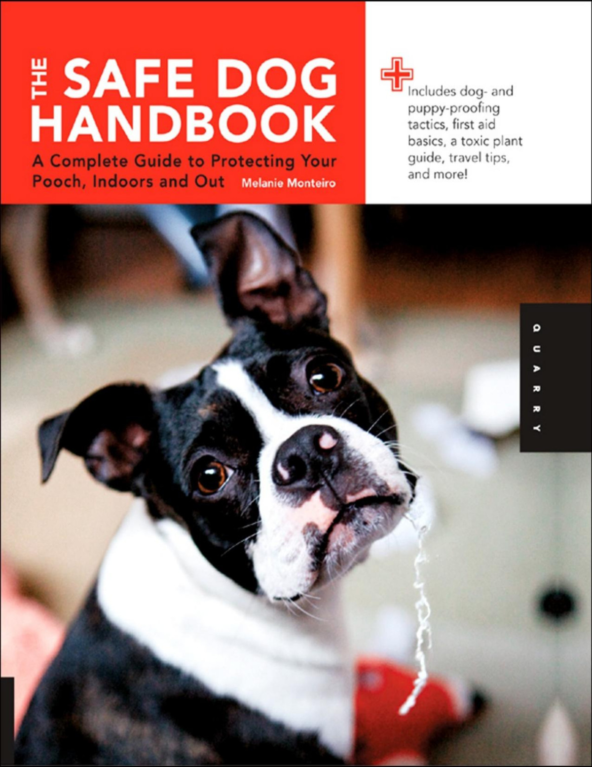 Safe Dog Handbook Melanie Monteiro