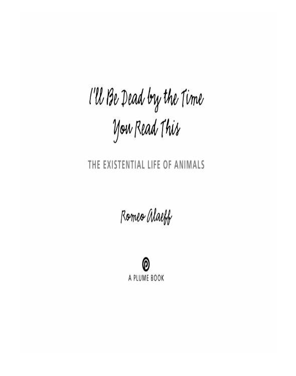 Ill Be Dead By The Time You Read This The Existential Life Of Animals Alaeff