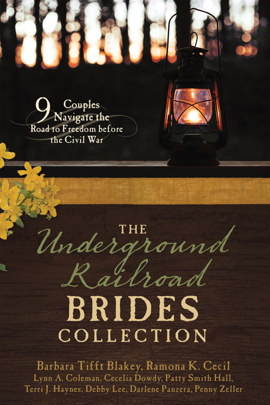 The Underground Railroad Brides Collection 9 Couples Navigate The Road To Freedom Before The Civil War Barbara Tifft Blakey