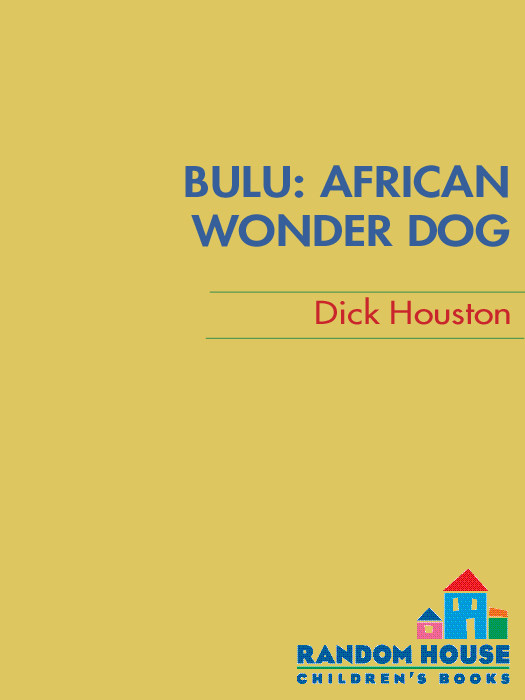 Bulu Dick Houston