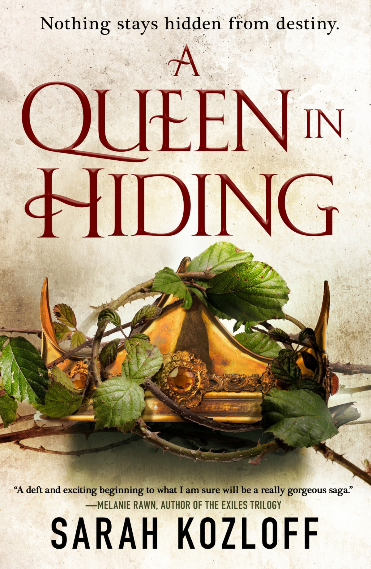 The Nine Realms 01 A Queen In Hiding Kozloff Sarah