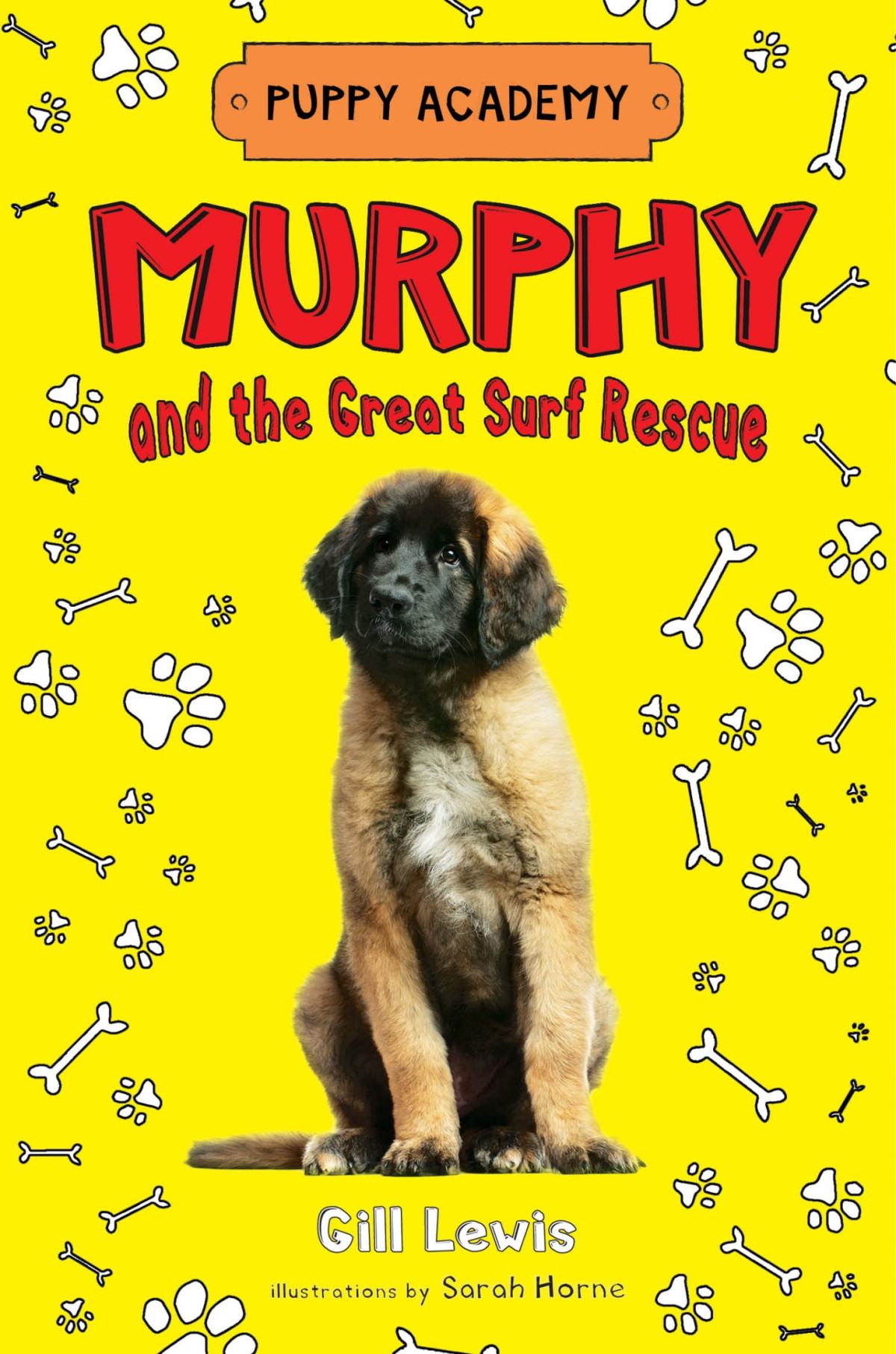 Murphy And The Great Surf Rescue Lewis Gill