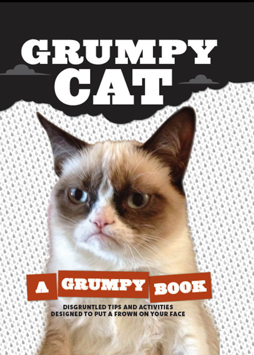 Grumpy Cat A Grumpy Book For Grumpy Days Cat Grumpy