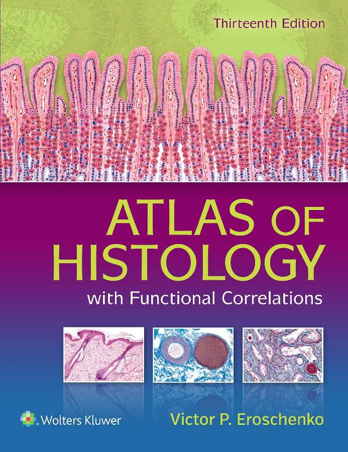 Atlas Of Histology With Functional Correlations Victor P Eroshenko