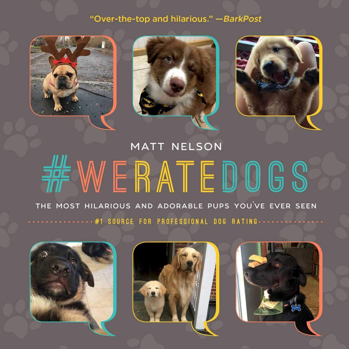 We Rate Dogs The Most Adorable And Hilarious Pups Youve Ever Seen Matt Nelson