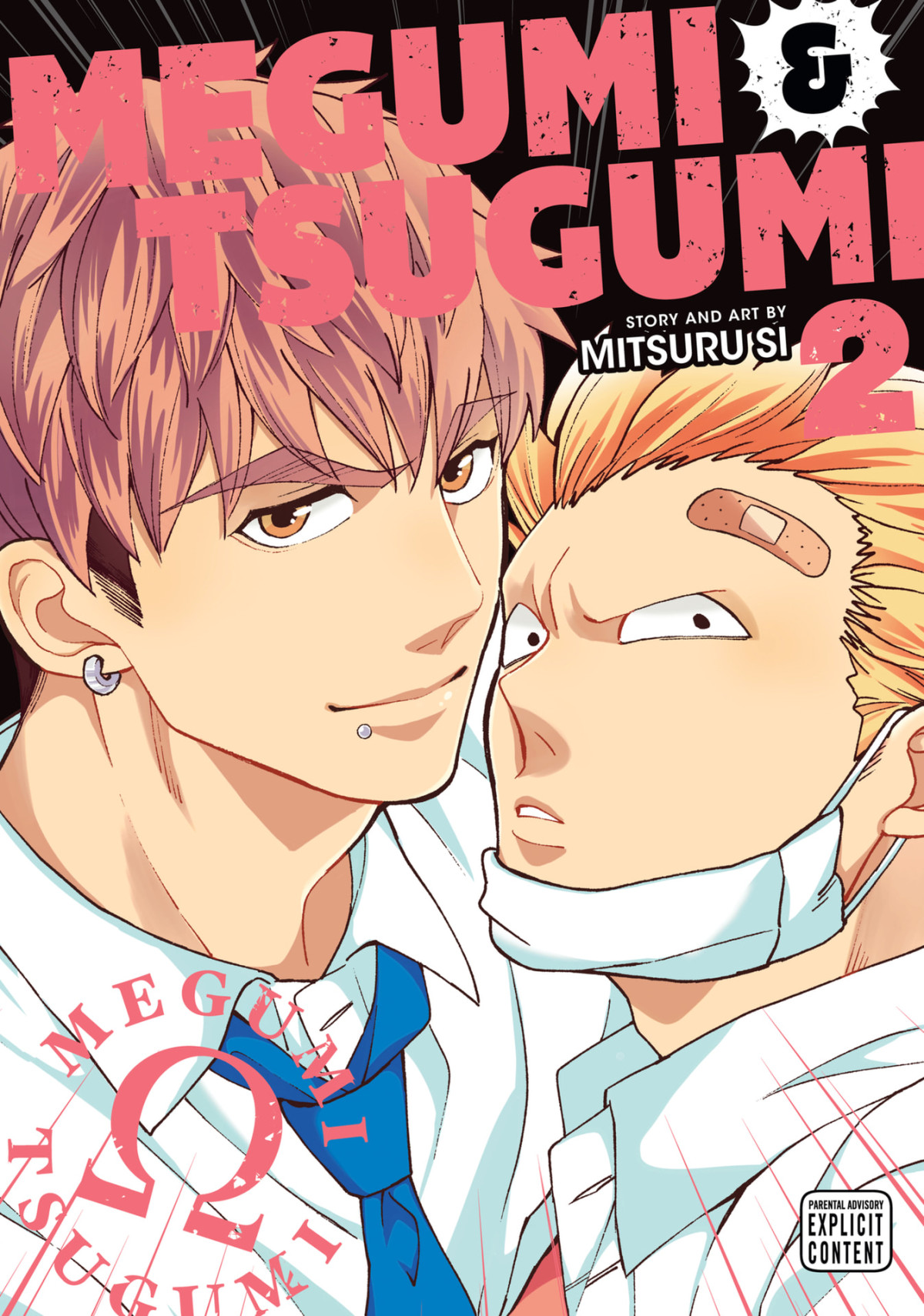 Megumi Tsugumi Vol 2 Yaoi Manga Si Mitsuru