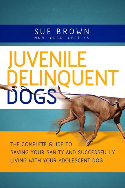 Juvenile Delinquent Dogs The Complete Guide To Saving Your Sanity And Successfully Living With Your Adolescent Dog Sue Brown