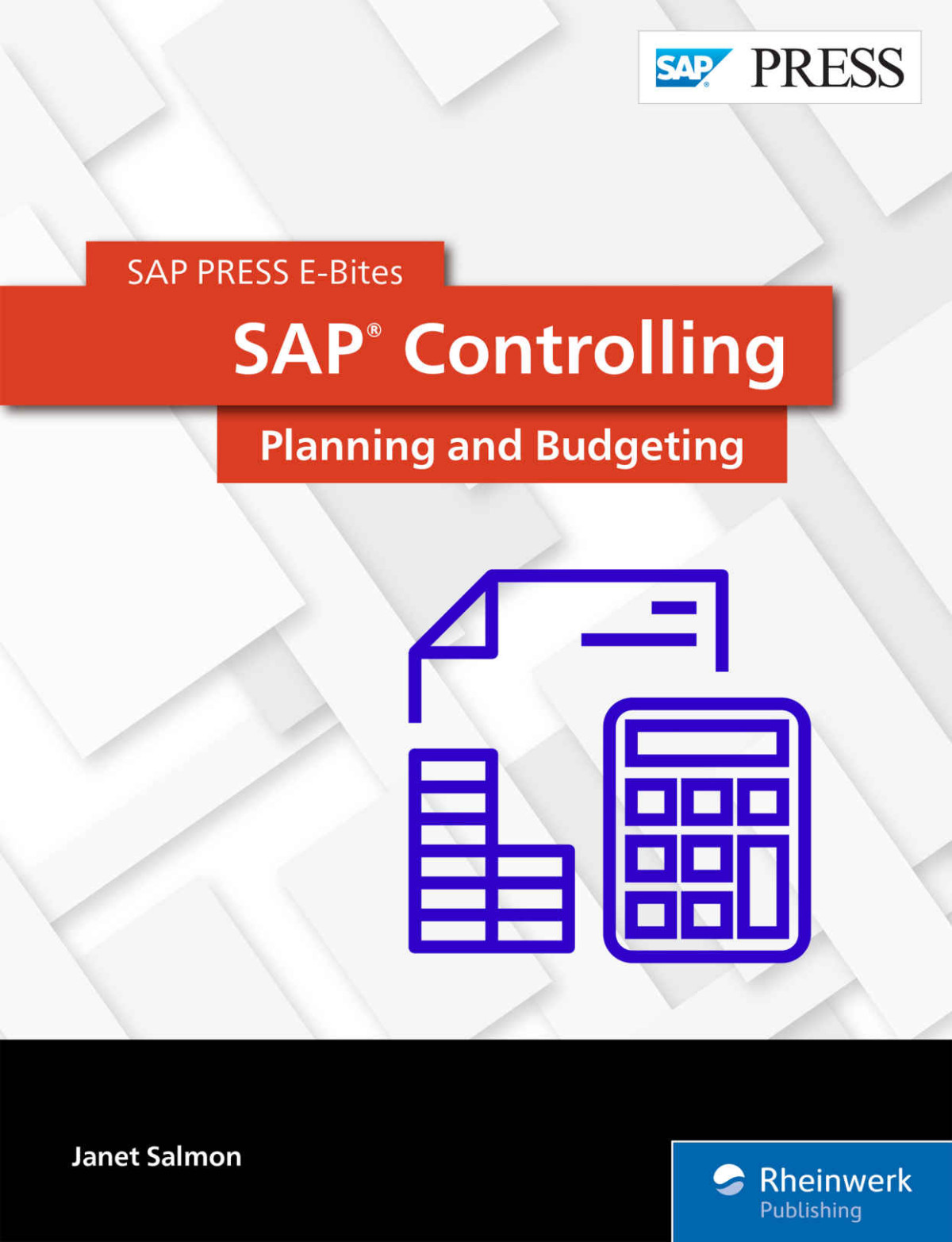 Sap Press Sap Controlling Planning And Budgeting Janet Salmon