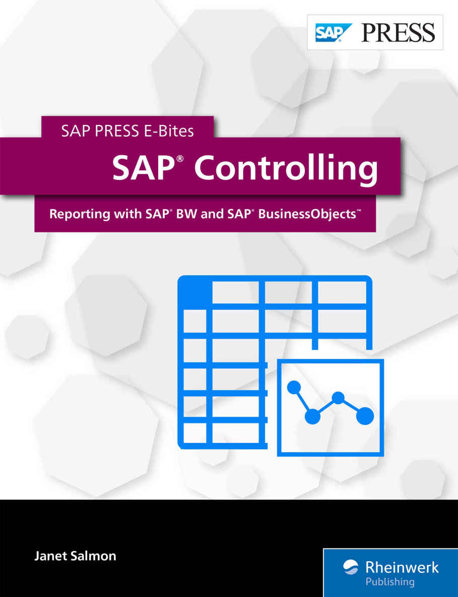 Sap Controlling Reporting With Sap Bw And Sap Businessobjects Sap Press Ebites Book 45 Salmon
