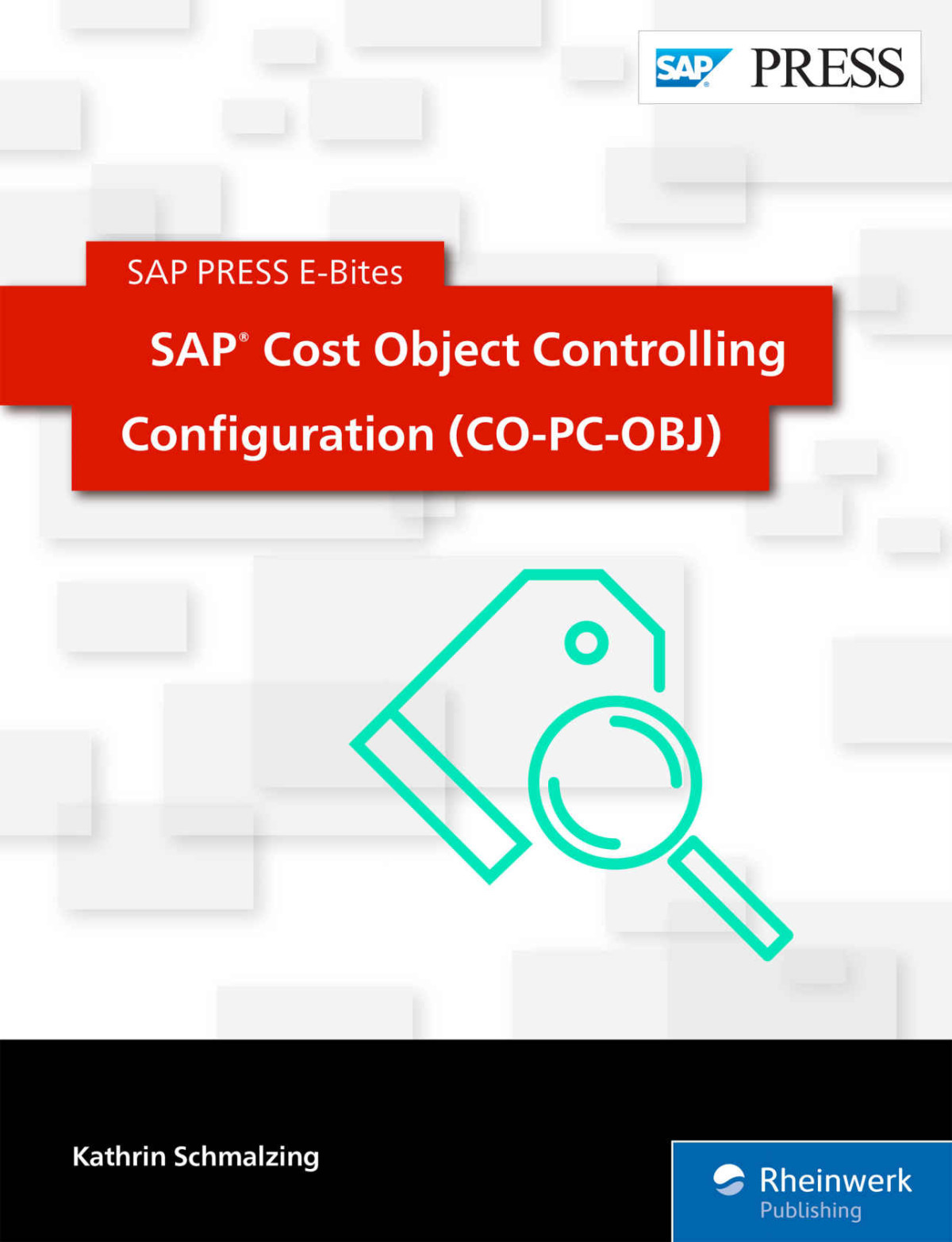 Sap Press Sap Cost Object Controlling Configuration Copcobj Kathrin Schmalzing