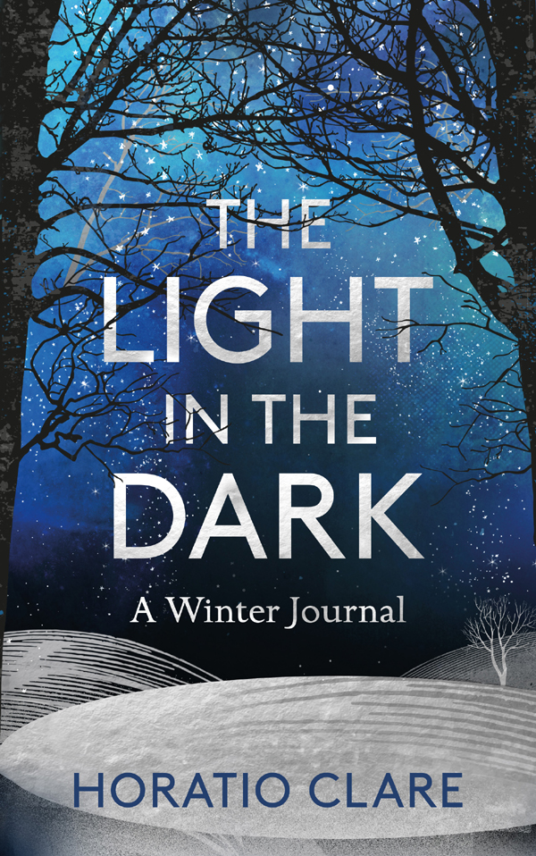 The Light In The Dark Clare Horatio