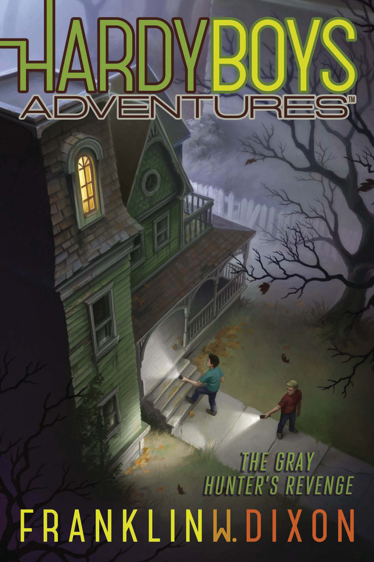 Hardy Boys Adventures 17 The Gray Hunters Revenge Dixon
