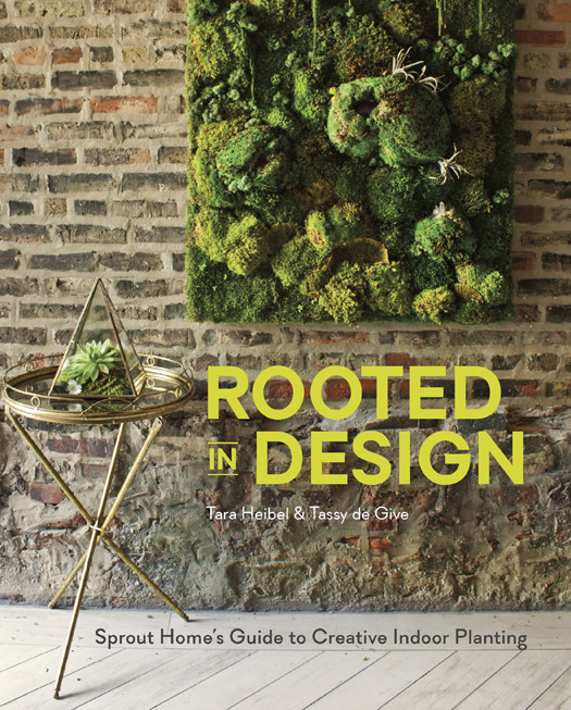 Rooted In Design Tara Heibel Tassy De Give