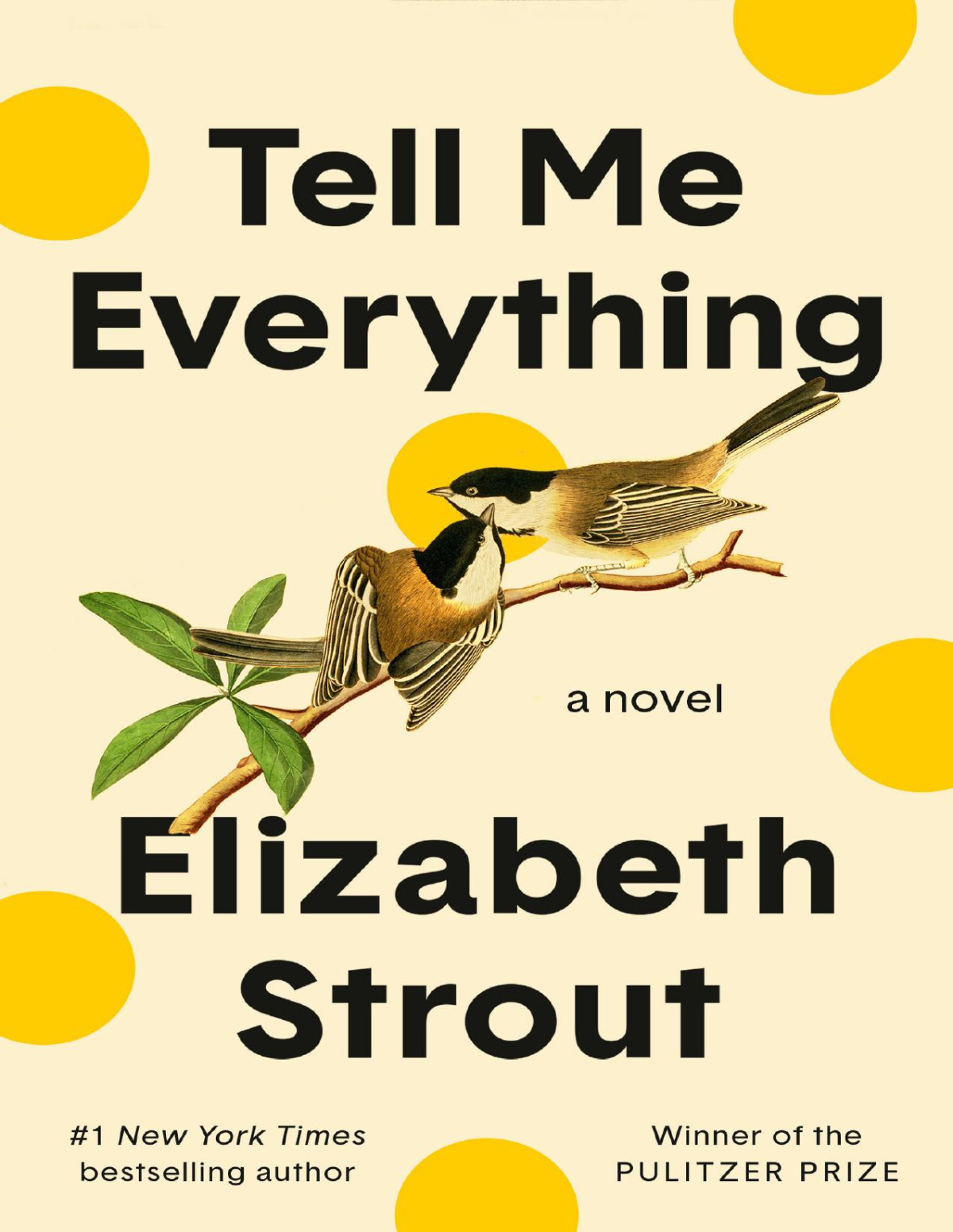 Tell Me Everything A Novel Elizabeth Strout