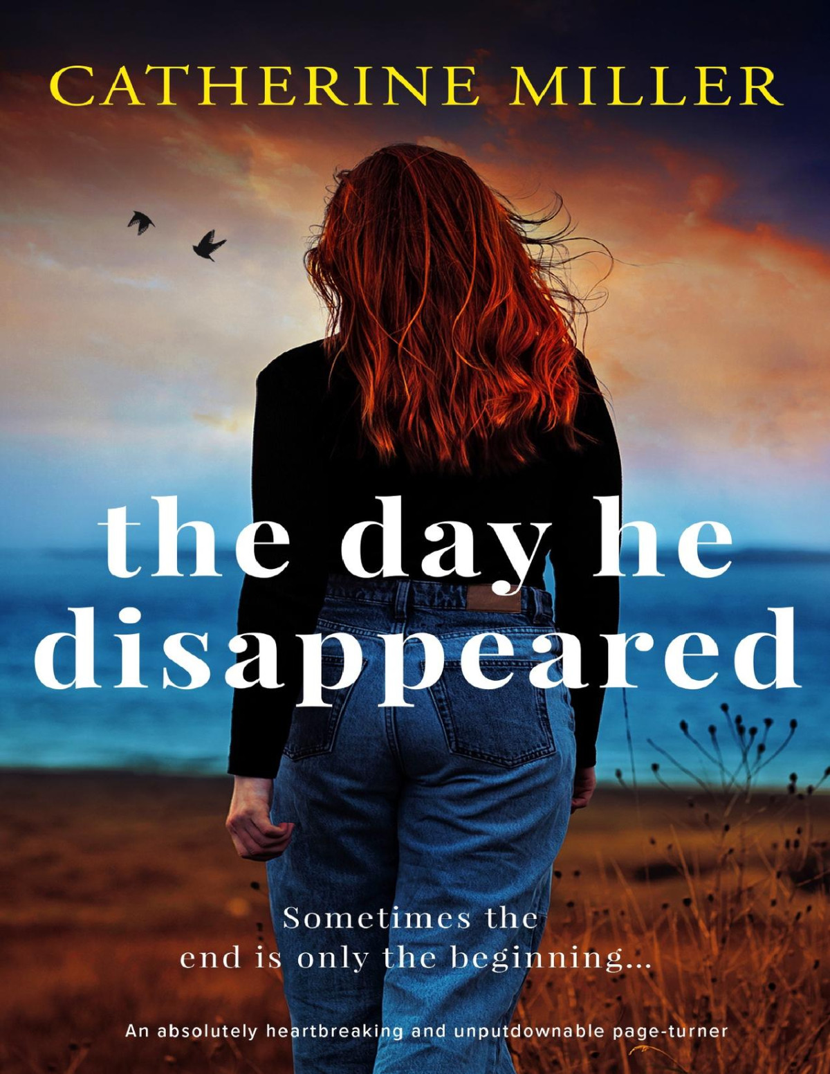 The Day He Disappeared An Absolutely Heartbreaking And Unputdownable Pageturner Catherine Miller