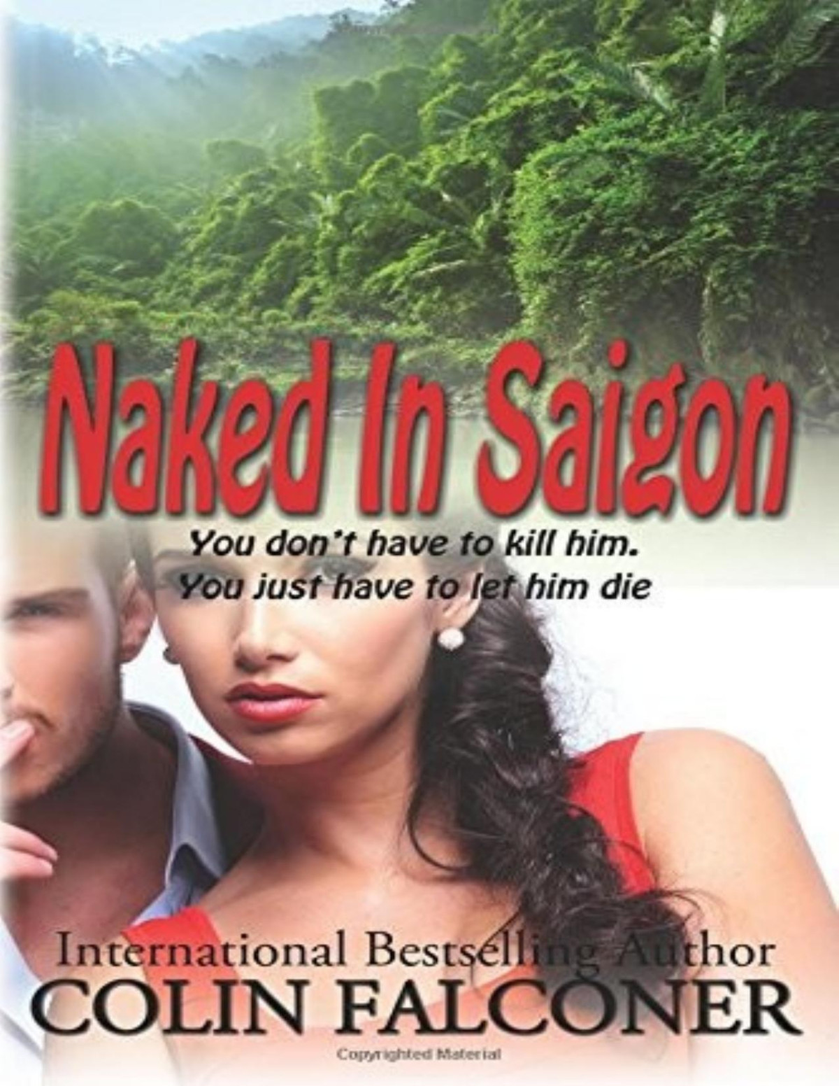 Naked In Saigon Colin Falconer