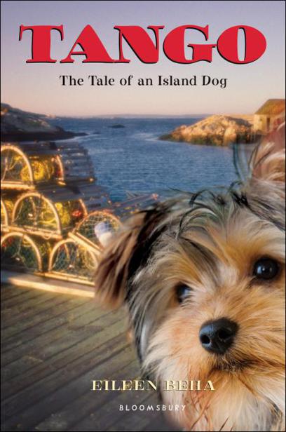 Tango The Tale Of An Island Dog Beha Eileen