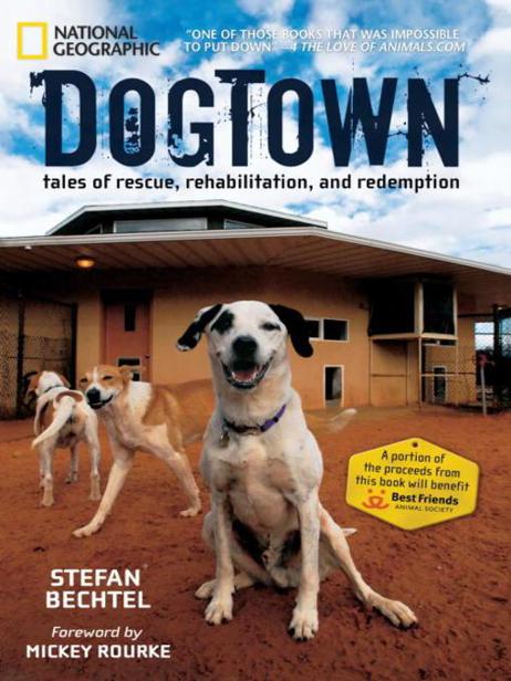 Dogtown Bechtel Stefan