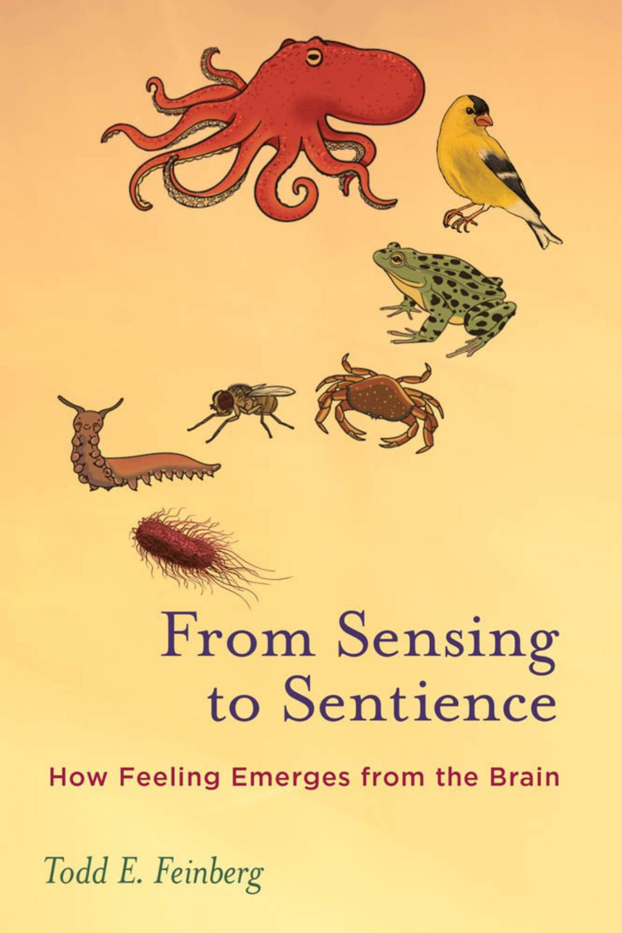 From Sensing To Sentience How Feeling Emerges From The Brain Todd E Feinberg