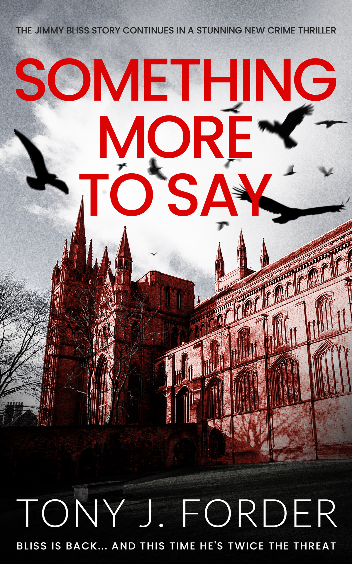 Something More To Say 1st Edition Tony J Forder