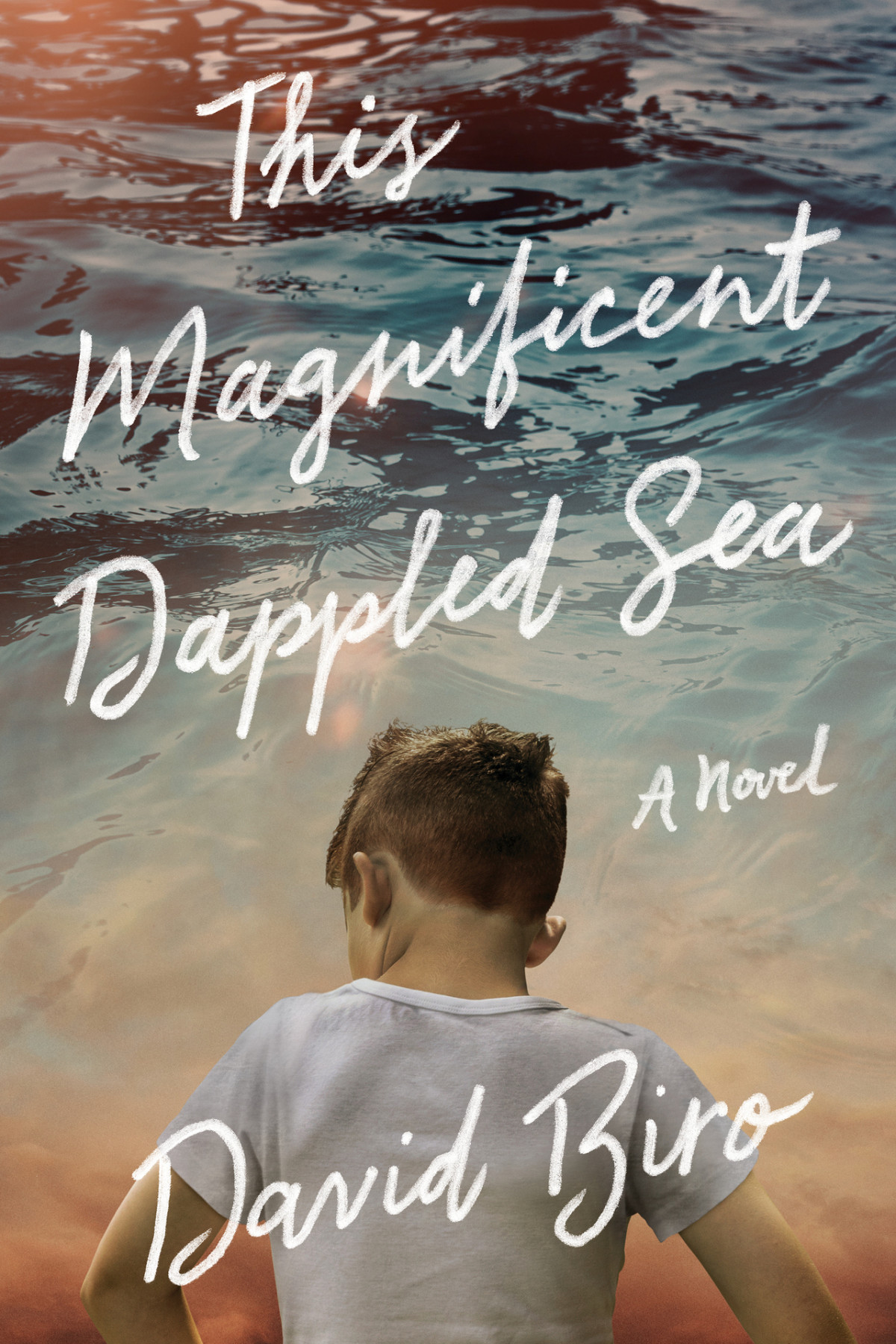 This Magnificent Dappled Sea David Biro